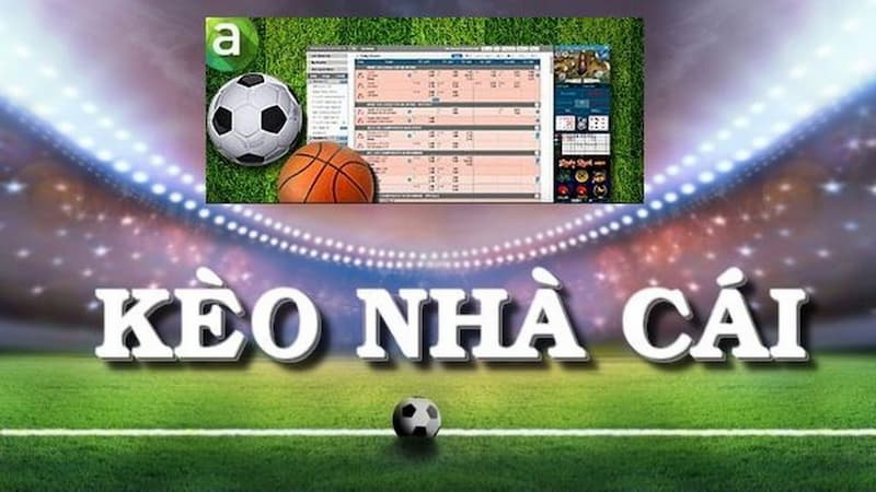 Tỷ Lệ Kèo 888 Cách Tính Tỷ Lệ Kèo 888 Và Cách Đọc Kèo